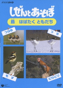 NHK DVD しぜんとあそぼ ～鳥 はばたく ともだち～ 教育 DVD - Neowing