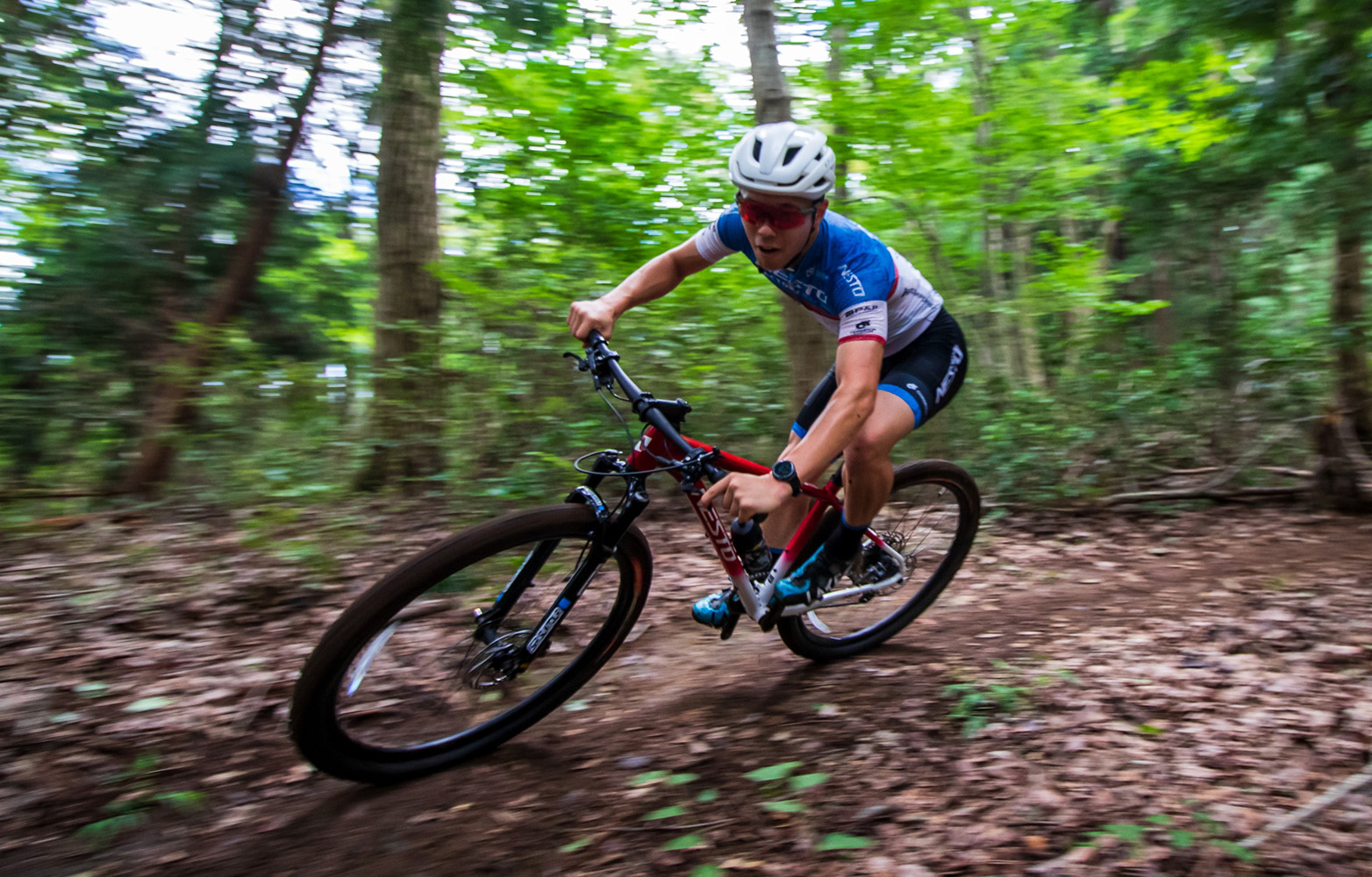 TRAIZE XC FrameSet - NESTO