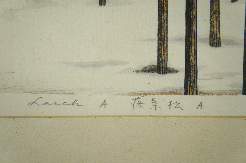 稲垣朱実版画額 | Natsume Books