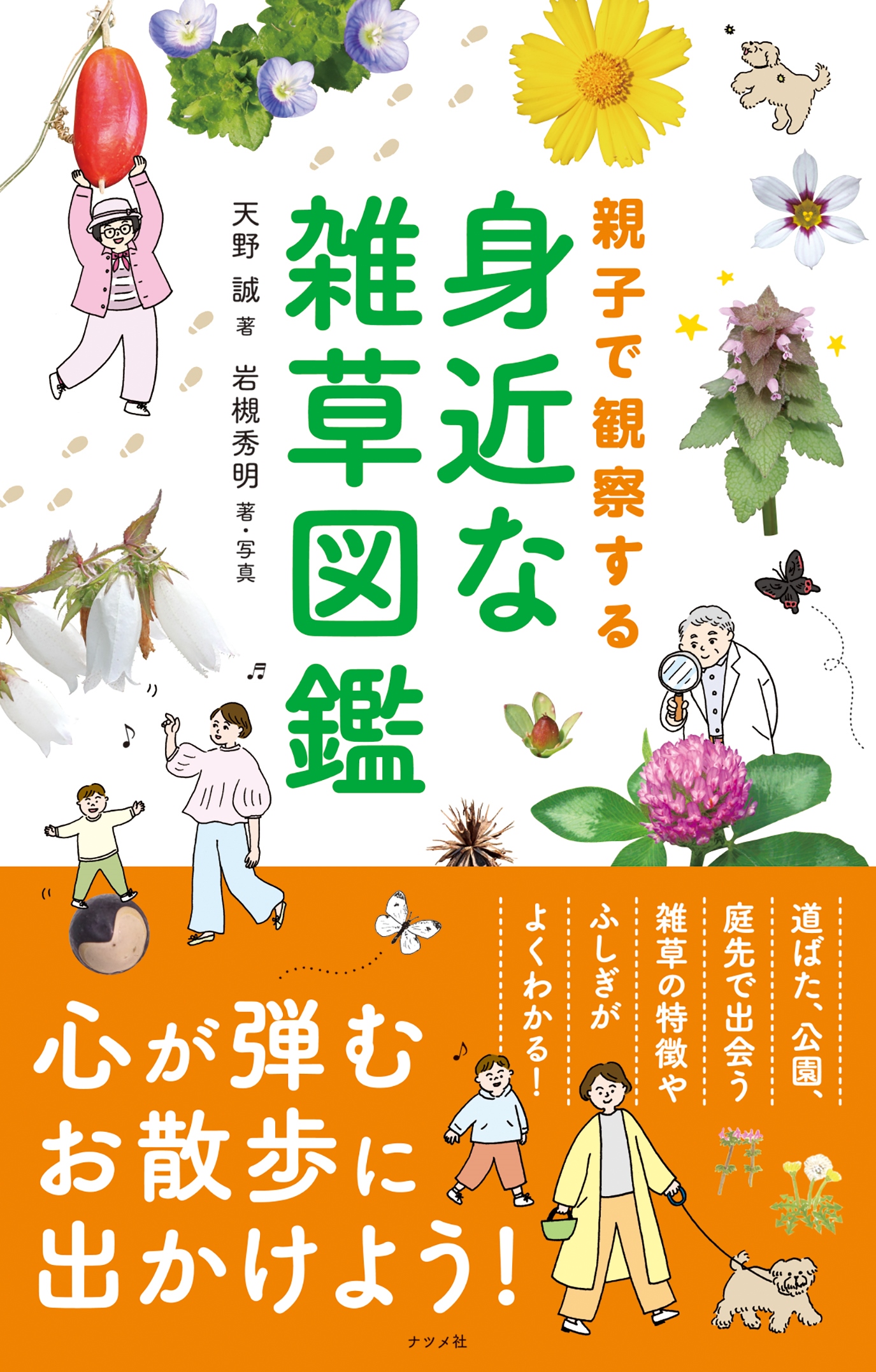 親子で観察する 身近な雑草図鑑 | ナツメ社