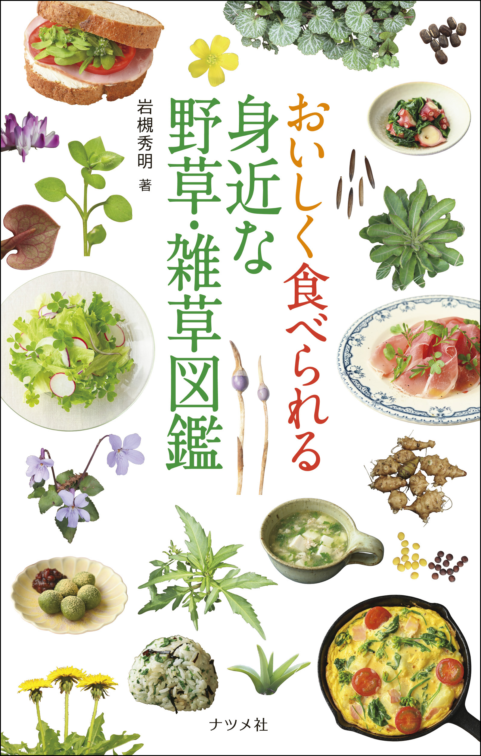 おいしく食べられる 身近な野草・雑草図鑑 | ナツメ社