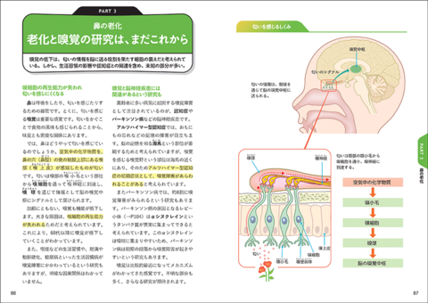 今と未来がわかる 老化の科学 | ナツメ社