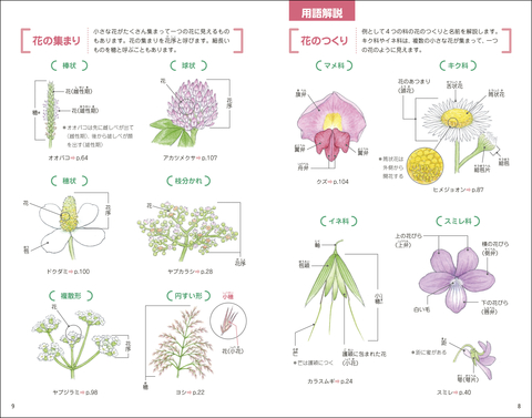 おいしく食べられる 身近な野草・雑草図鑑 | ナツメ社
