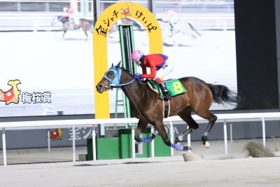 新冠町長杯 梅桜賞（P)』の結果｜ニュース一覧｜金シャチけいばNAGOYA