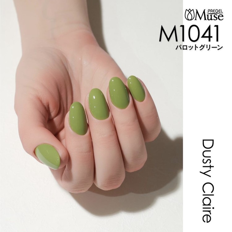 プリジェル ミューズ ダスティークレールシリーズ 3g×6色セット | Nail