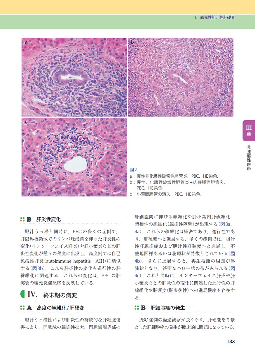 肝臓を診る医師のための肝臓病理テキスト