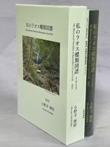 私のラオス蝶類図譜 小野寺博昭