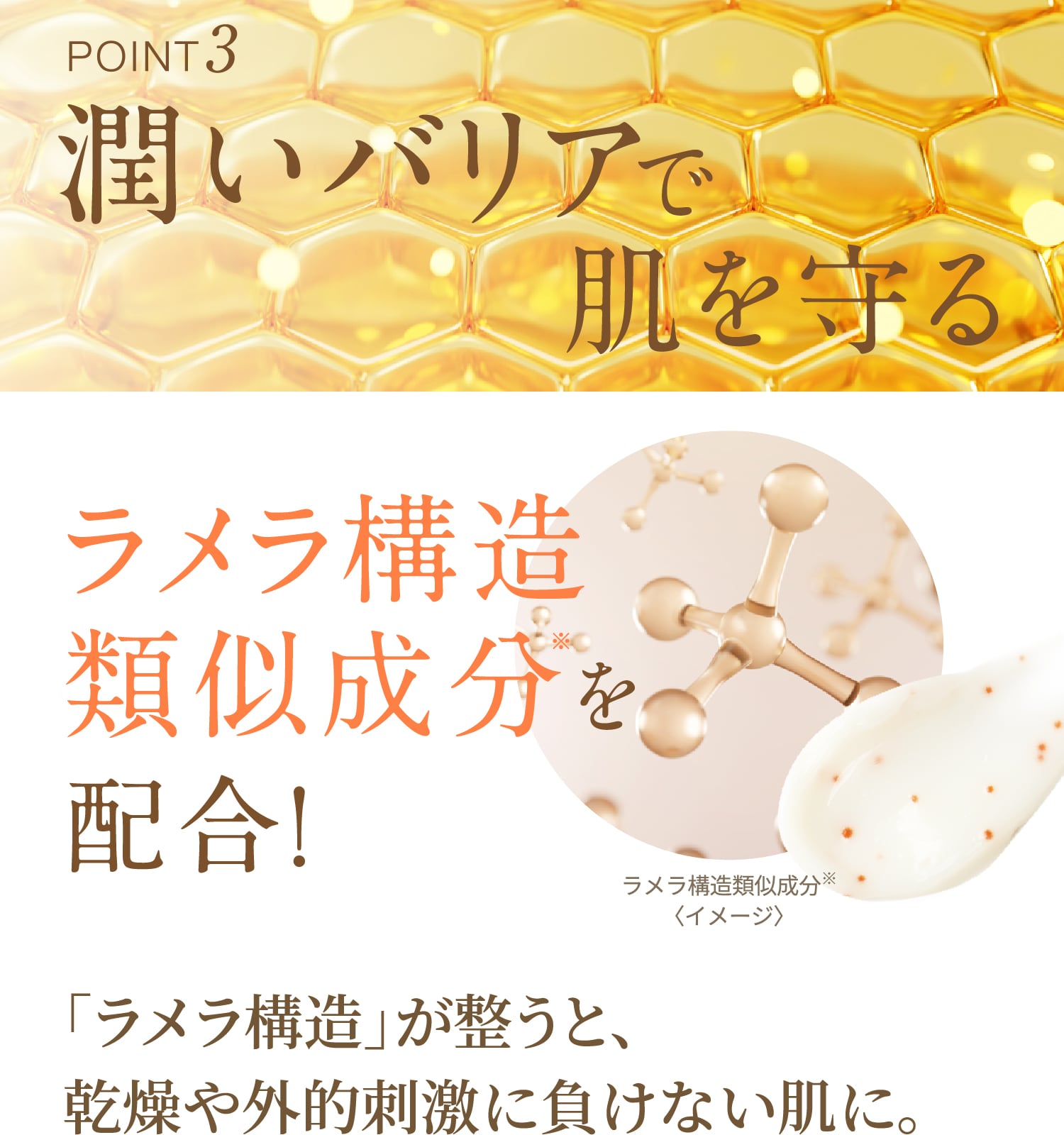 Wオイルイン クリーム: シリーズから探す / ナリスオンラインストア