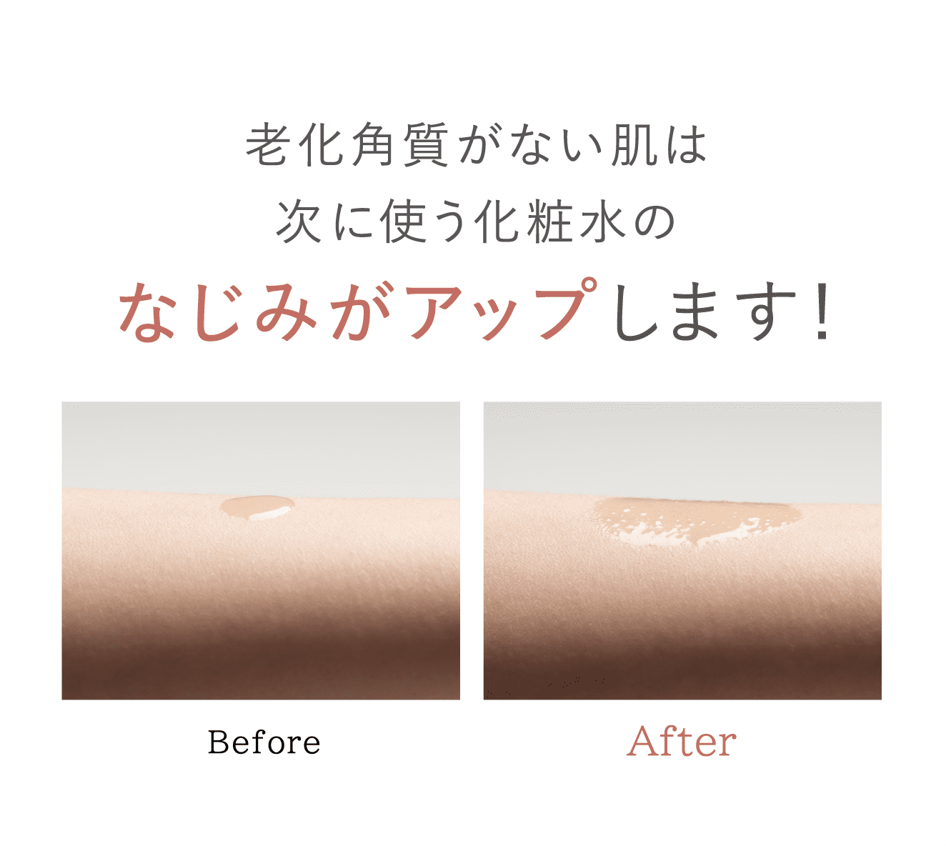 コンク(通常購入): シリーズから探す / ナリスオンラインストア , 公式