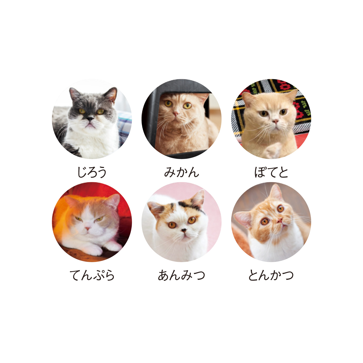 ねこと生活 みかんとじろうさんち（卓上）｜卓上カレンダー