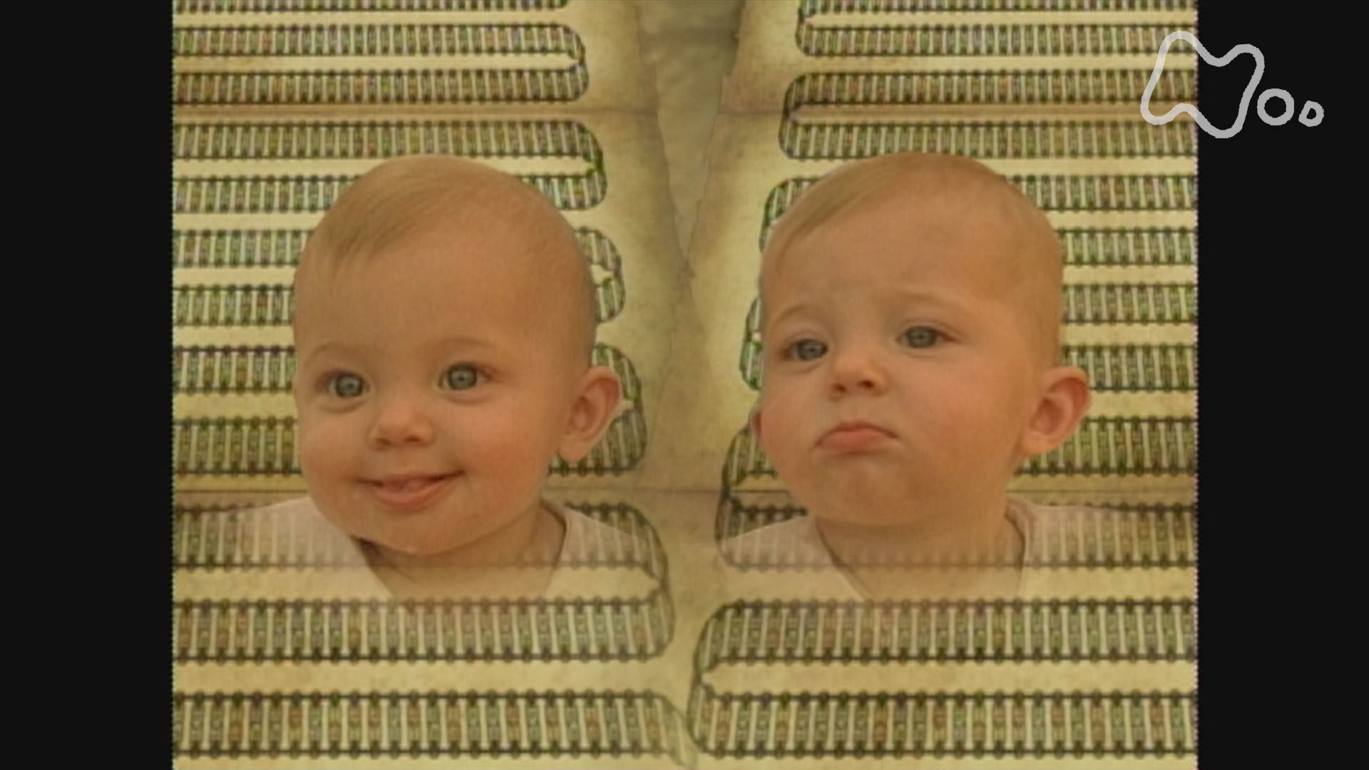 NHKスペシャル 驚異の小宇宙 人体3 遺伝子・DNA 第5集 秘め