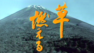 大河ドラマ 草燃える 総集編 - 動画配信 | NHKオンデマンド