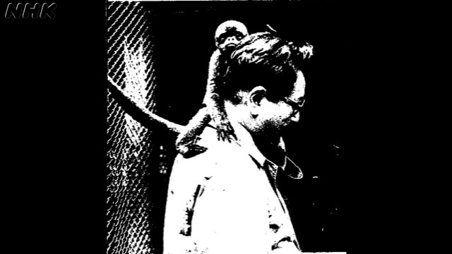 15分でにっぽん百名山｜番組｜NHKアーカイブス