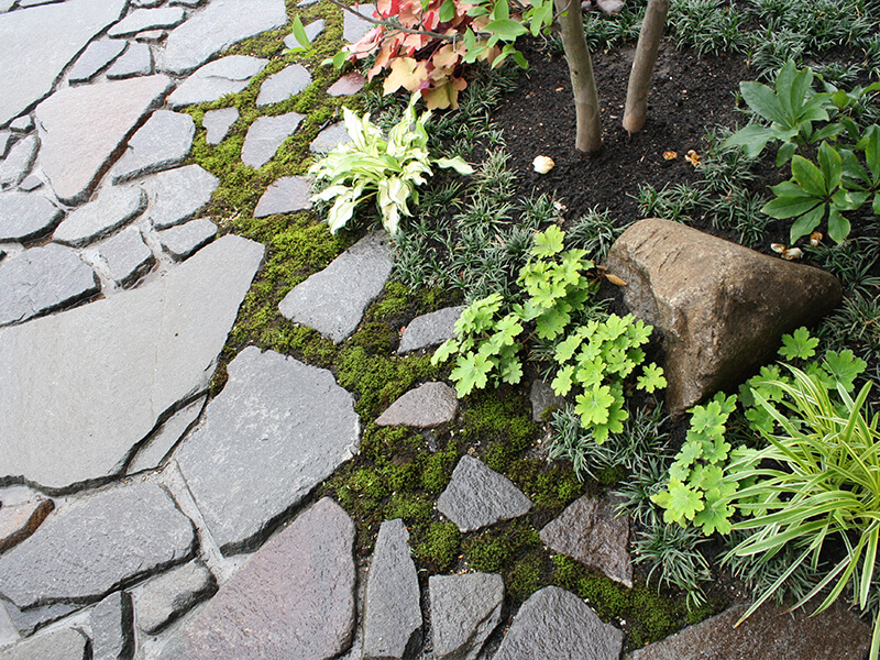作庭例 | 庭のクニフジ｜松本市の造園・エクステリア・店舗空間