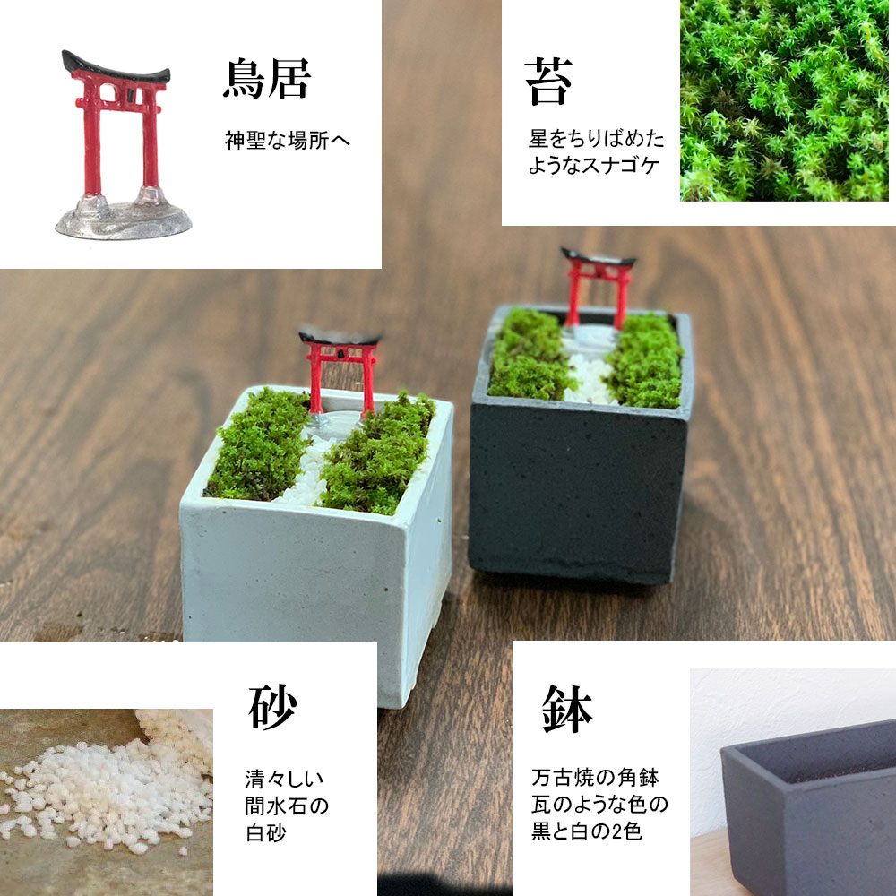苔盆栽 【神域への入り口】万古焼創作角鉢 鳥居 神社 神様 苔盆栽 苔