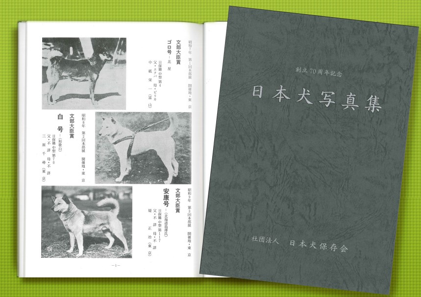 天然記念物日本犬【希少学術書】