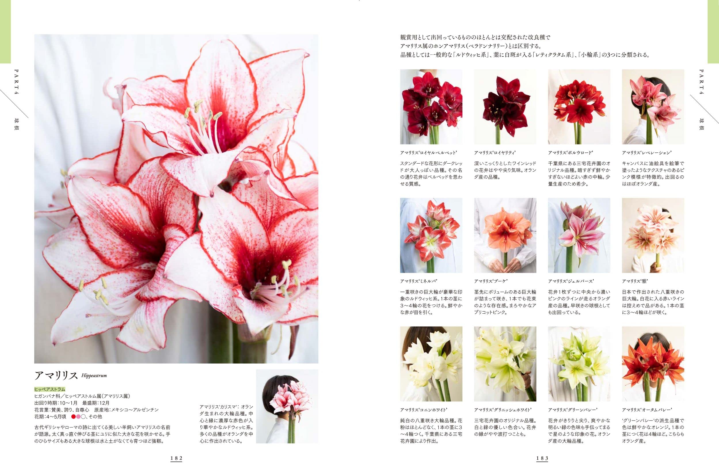 東京植物図譜の花図鑑1000 - 株式会社日本文芸社