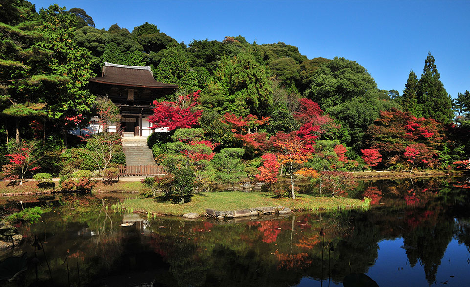 奈良の紅葉 | 奈良十里TOP | ホテル日航奈良 JR奈良駅西口直結