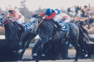 日刊競馬で振り返る名馬 - オグリキャップ（1990年・第35回有馬記念）