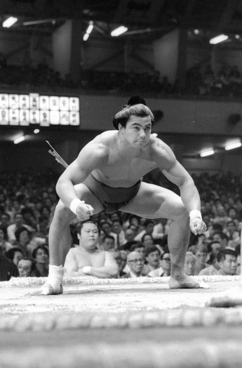 千代の富士」がトレンドワード入り／第58代横綱写真特集 - 大相撲