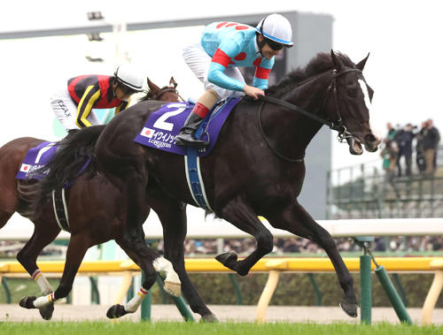 イクイノックスが最優秀競走馬！23年ドバイシーマC制覇、シェイク