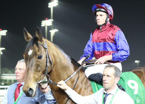 アイルランドのG1・4勝馬ルクセンブルクは障害競走用の種牡馬へ