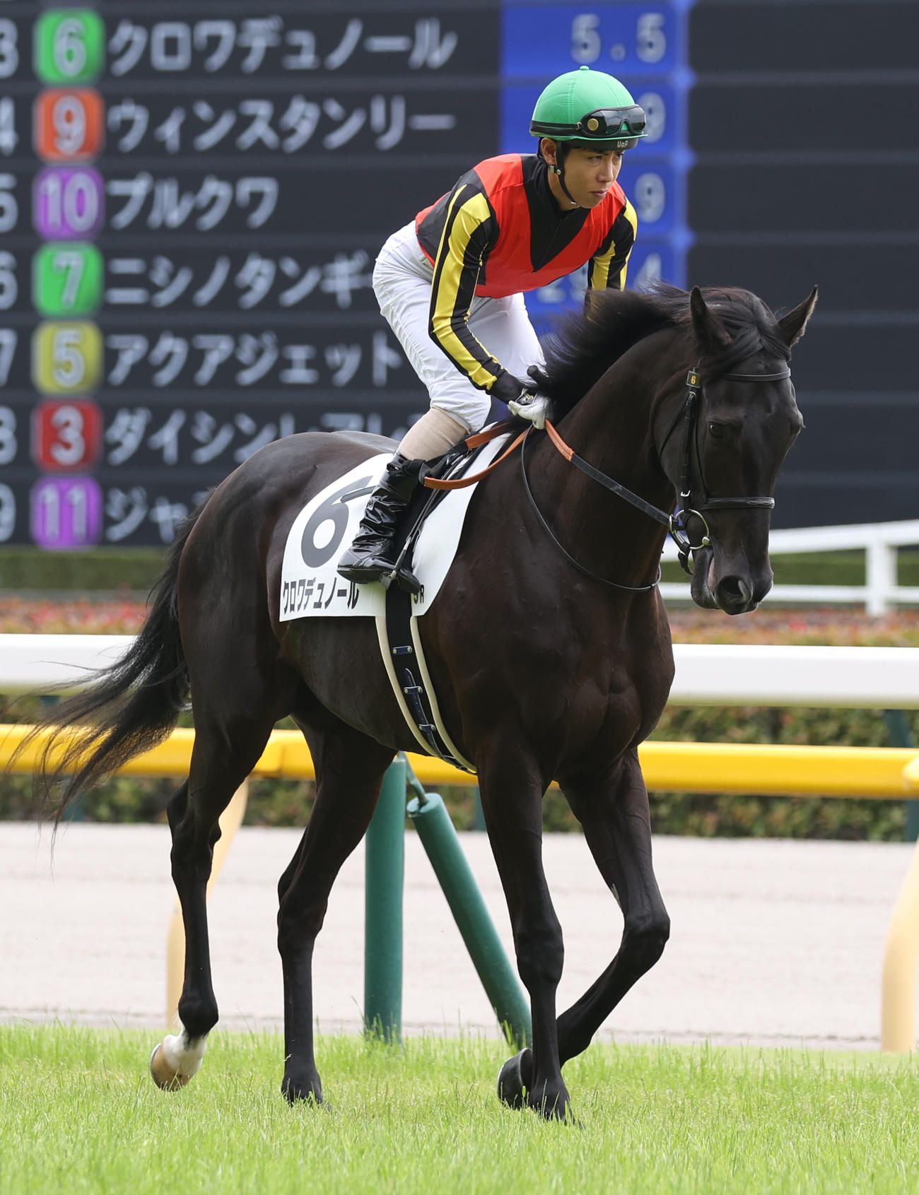 ホープフルS】クロワデュノール、Cウッドで軽快11秒4 北村友騎手