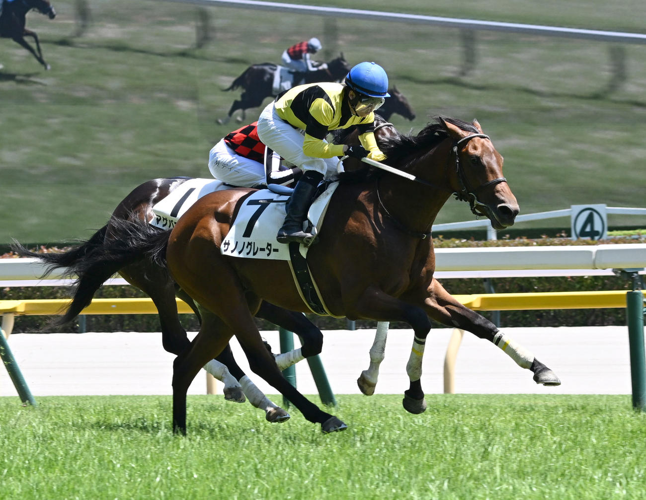 単勝100万円爆買い馬が激走！払戻額2000万円超か／府中のミステリー