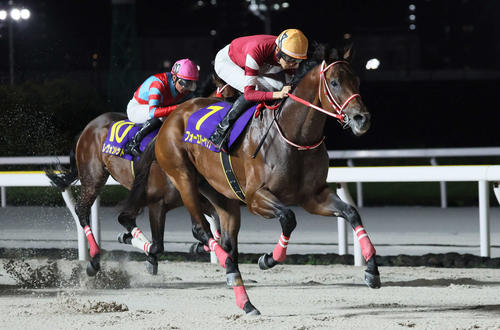 い*う様 【世界唯一】年度代表馬選出記念フォーエバーヤング坂井瑠星