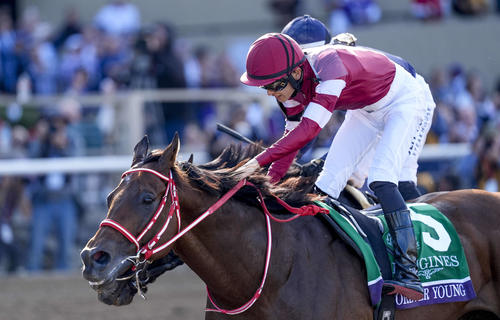 ブリーダーズカップ】フォーエバーヤングが世界の頂点に！日本馬7頭