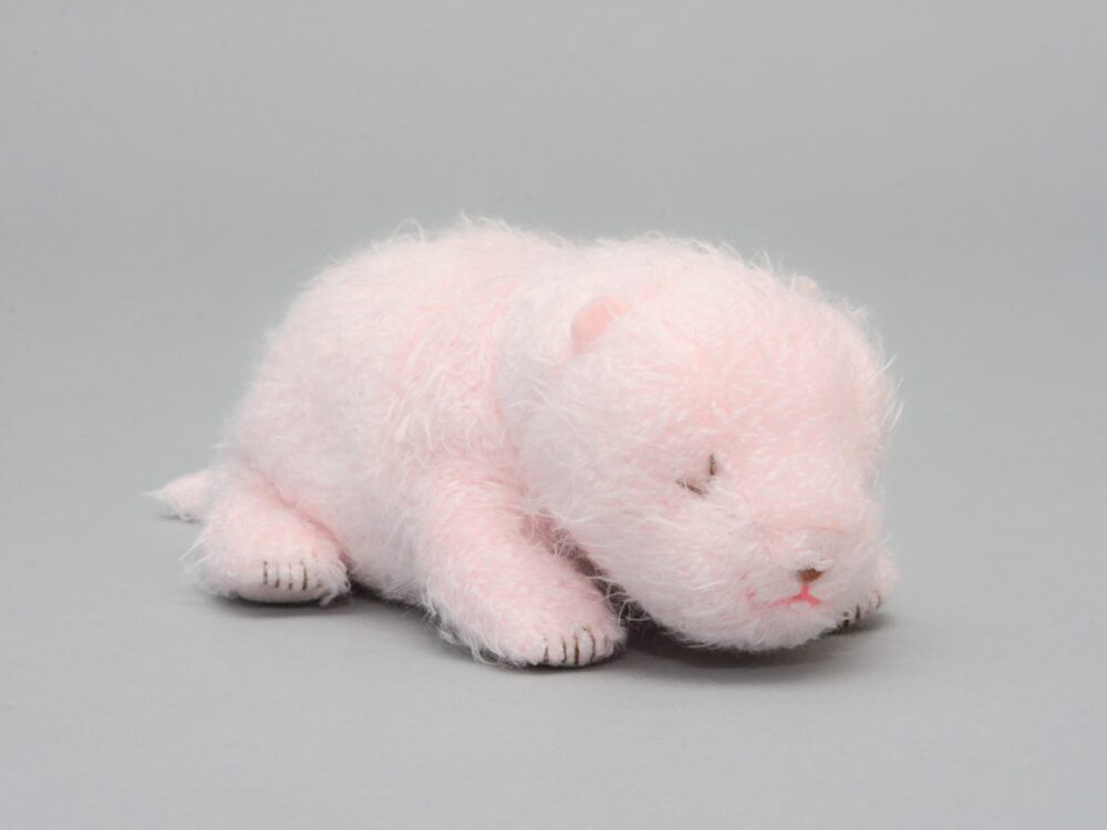 レビュー】ほんとの大きさパンダの仔 | ニッポンパンダ -パンダに