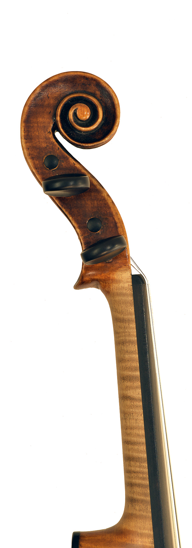 1835年製ジョヴァンニ・フランチェスコ・プレッセンダ｜楽器 | 日本