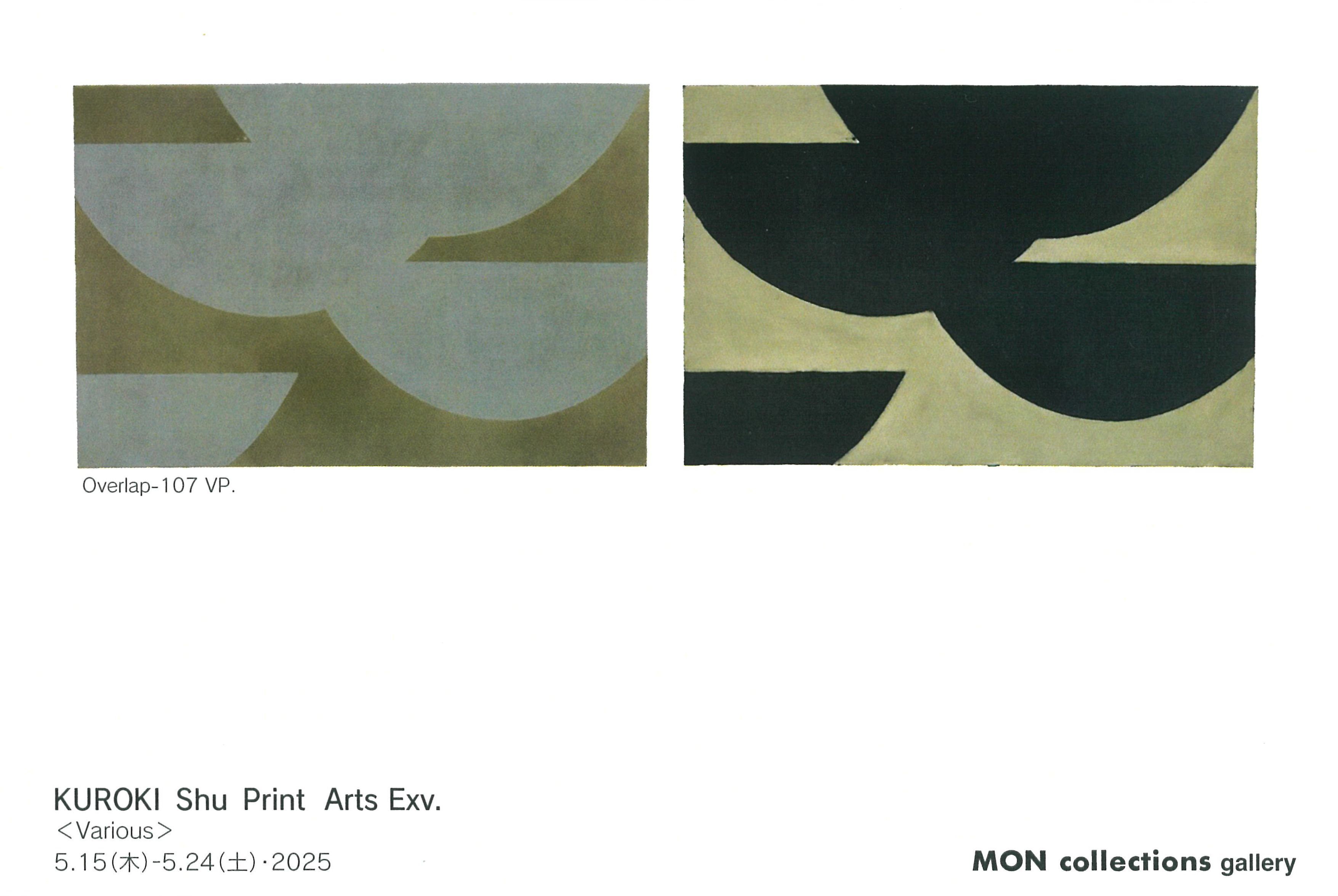 黒木周 新作展＜Various＞ 2025年5月15日(木) 〜 2025年5月24日(土