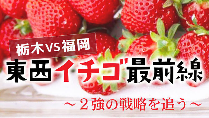 イチゴ栽培の研修生募集 大木町の合弁会社｜【西日本新聞me】
