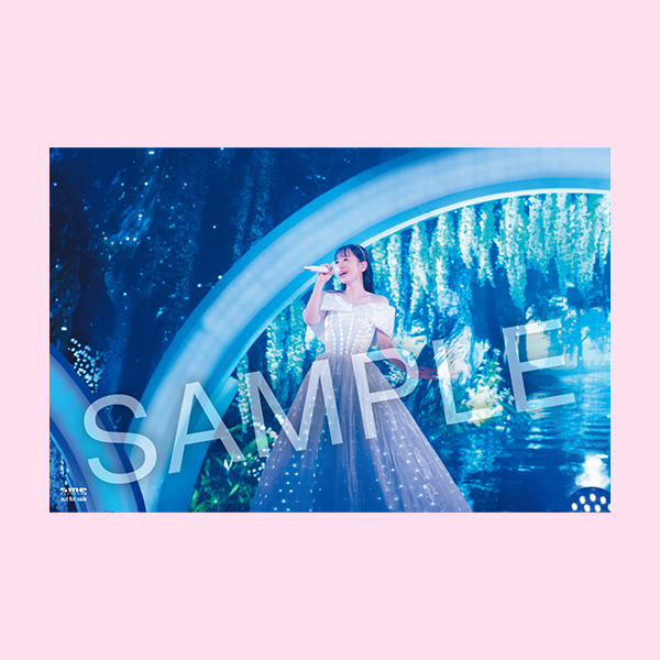 西野カナ「Kana Nishino Fall In Love With You Again Tour 2025」Blu