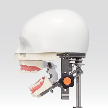 歯科衛生士教育 実習用ファントム [DR-H Ni:Mo]｜株式会社ニッシン