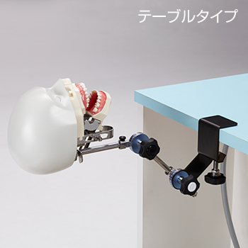 歯科衛生士教育 実習用ファントム [DR-H Ni:Mo]｜株式会社ニッシン
