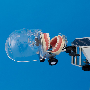 Dental Simulator | SIMPLE MANIKIN III(Product Preview) |