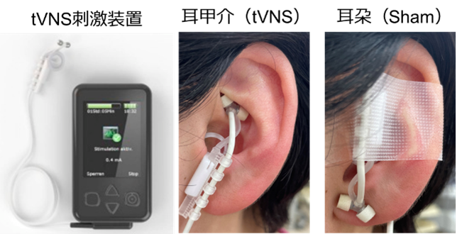 新潟医療福祉大学 運動機能医科学研究所