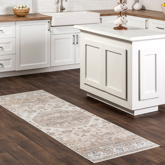 Darby Persian Stain Repellent Machine Washable Area Rug — nuLOOM