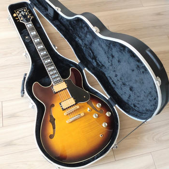 ZT24 トラベルギター（ミニギター）C1004｜SOUNDMART