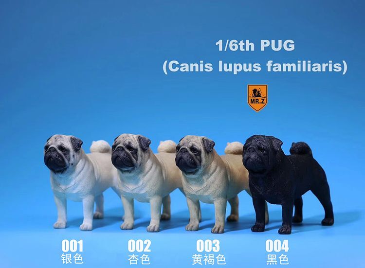 フィギュア専門店 -ソダチトイズ / Mr.Z 1/6 パグ MRZ018 4種 カラー