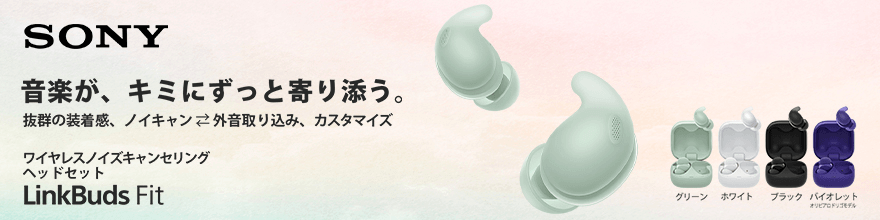 SONY フルワイヤレスイヤホン『LinkBuds Fit WFL910N』｜ソフマップ