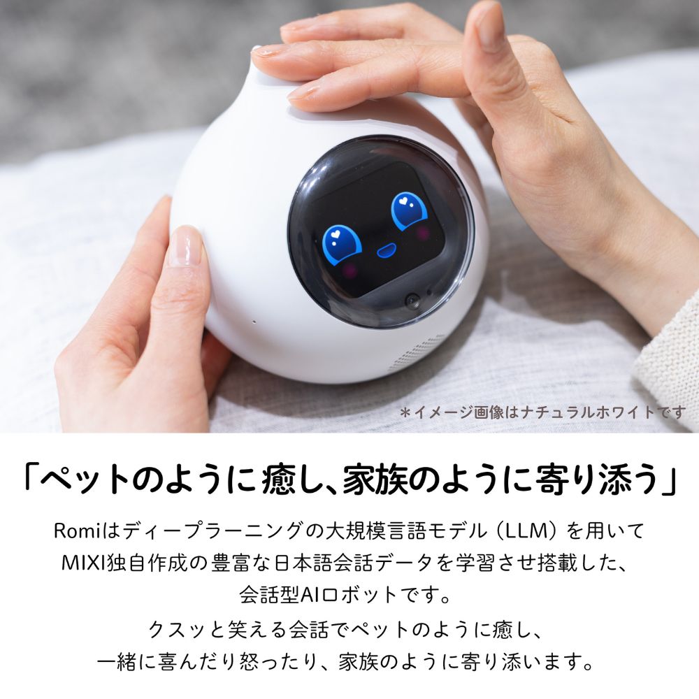会話AIロボットRomi(ロミィ) Lacatanモデル ムーングレー ROMI-L01GY