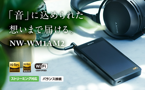 NW-ZX100 | ポータブルオーディオプレーヤー WALKMAN ウォークマン