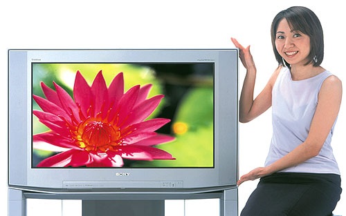 News and Information BSデジタル放送に加え、110度CSデジタル放送