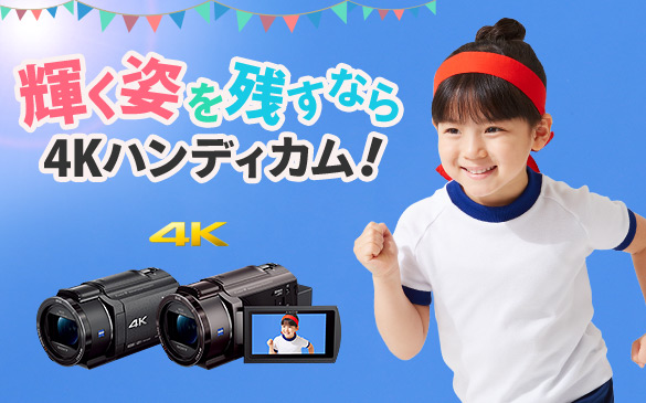 NEX-VG30H 主な仕様 | デジタルビデオカメラ Handycam ハンディカム