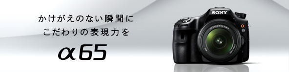 α65 | デジタル一眼カメラα（アルファ） | ソニー