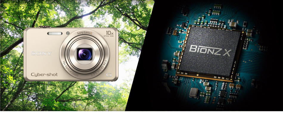 DSC-WX220 特長 : 進化した高画質性能 | デジタルスチルカメラ Cyber