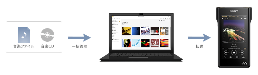 NW-WM1A 特長 : 転送 | ポータブルオーディオプレーヤー WALKMAN